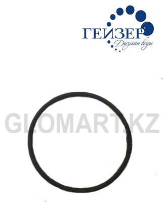Гейзер Кольцо уплотнительное 085-091-36